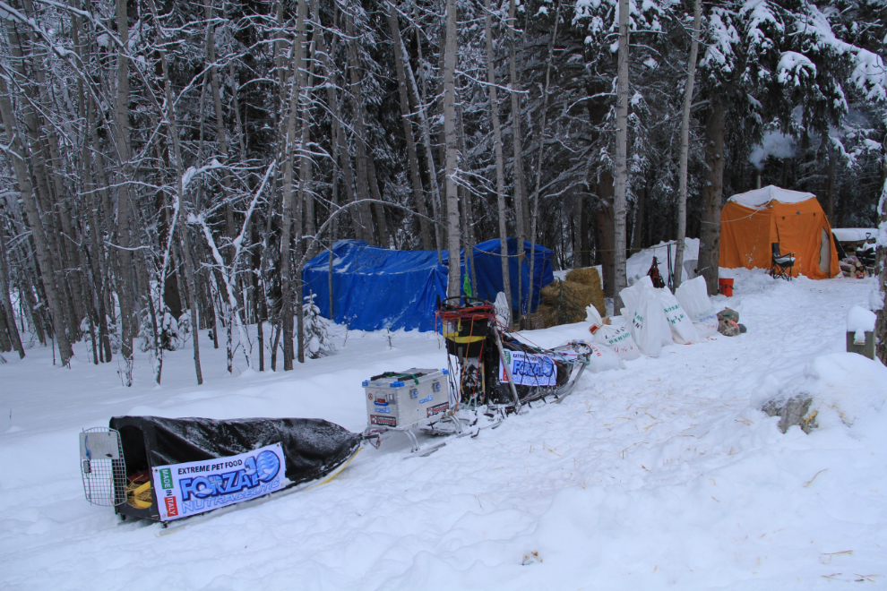 Lance Mackey's fancy Yukon Quest sled setup at Dawson City, Yukon