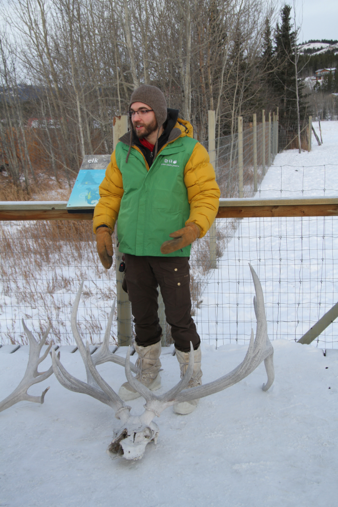 Jake Paleczny, our guide at the Yukon Wildlife Preserve