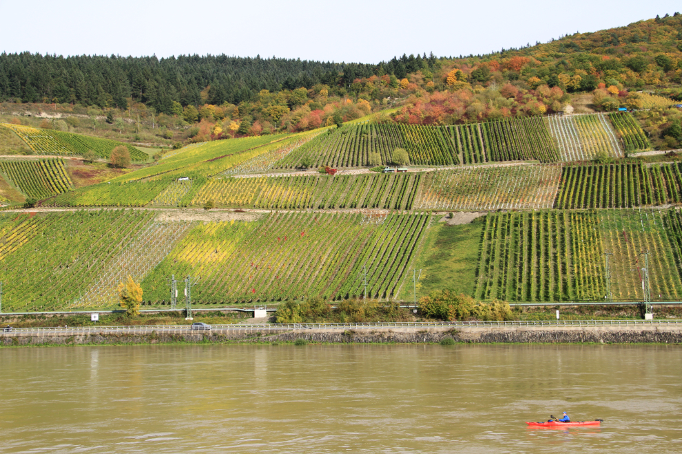 Kayak and vineyards on the Rhine River