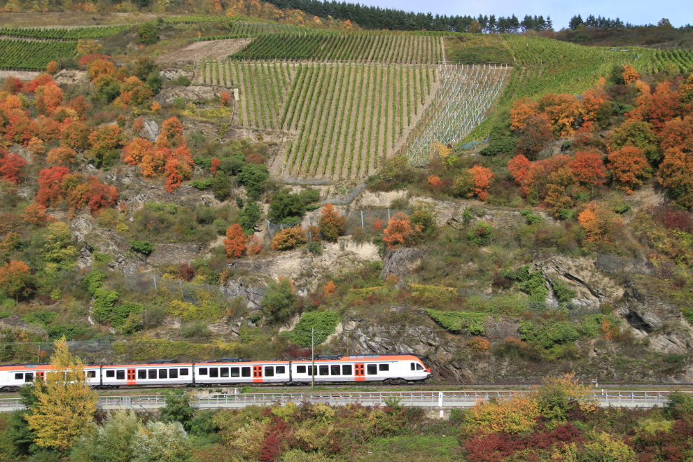 Railway and vineyards along the Rhine River