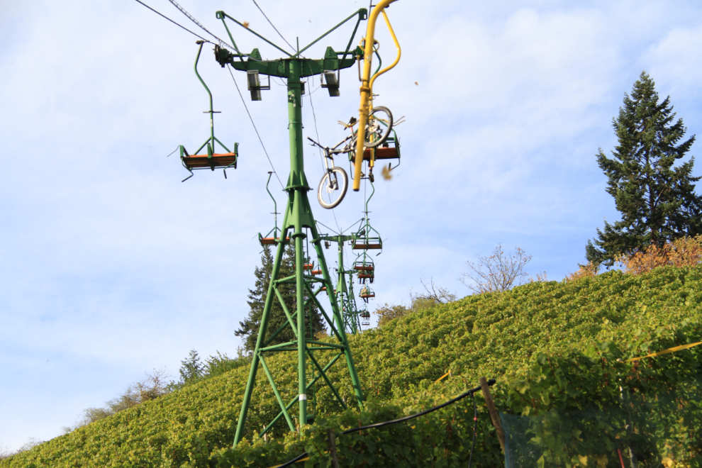 Riding a chairlift at Boppard, on the Rhine River.
