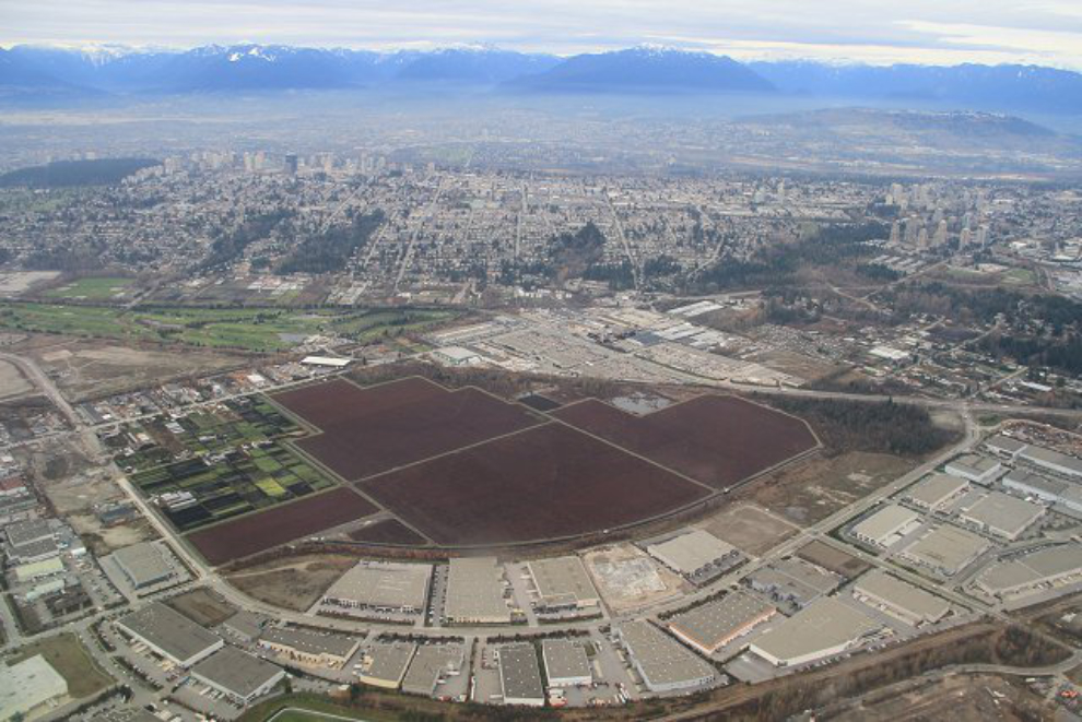 Aerial view of cranberry fields at Vancouver