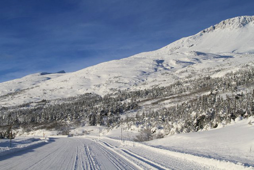 The view at Km 33.4 on the South Klondike Highway in the winter