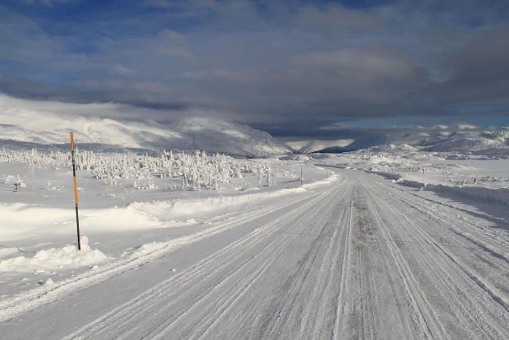Winter in the White Pass