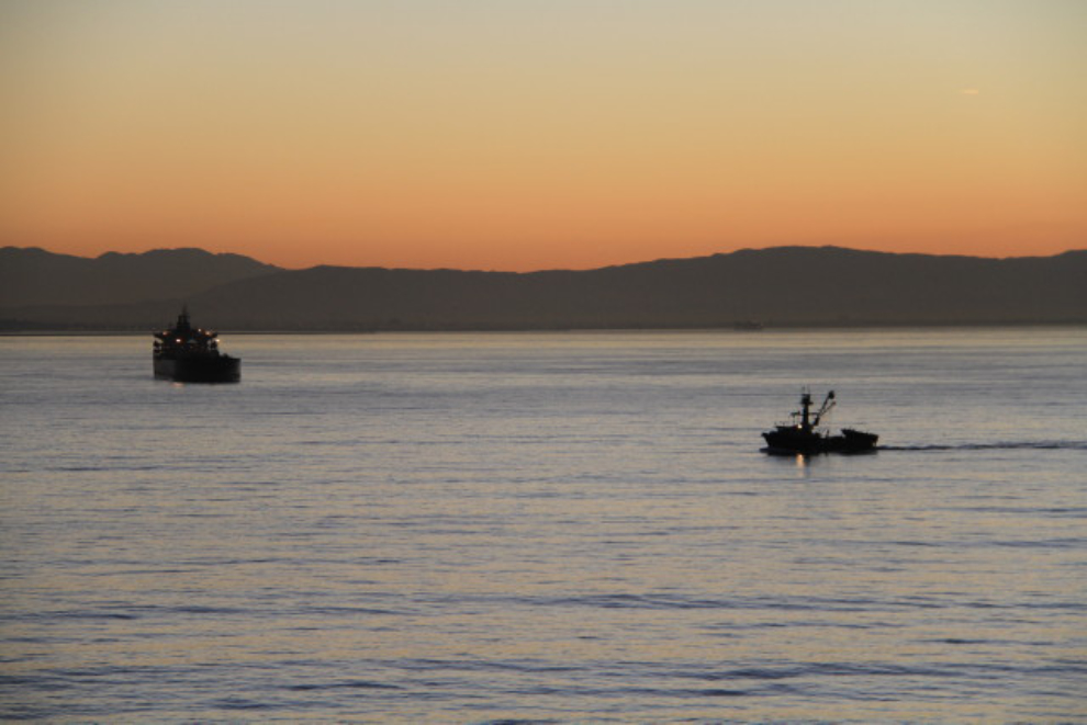 Boats at sunrise near Los Angeles, California