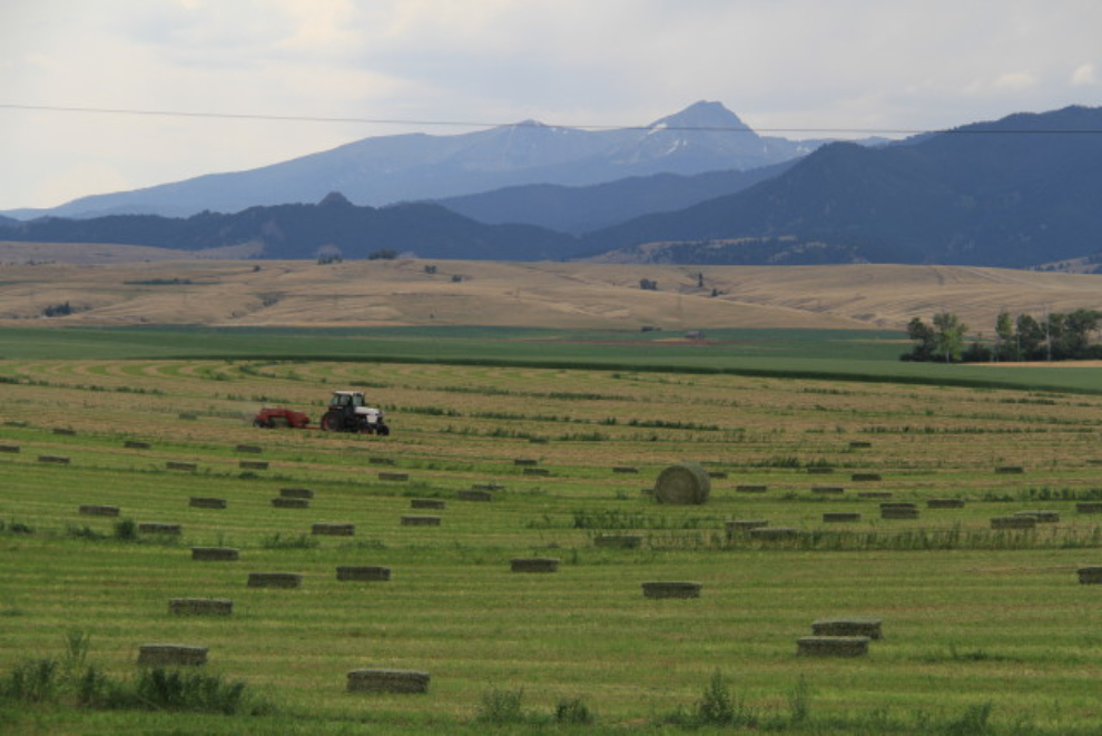South of Harrison, Montana, looking to the west.