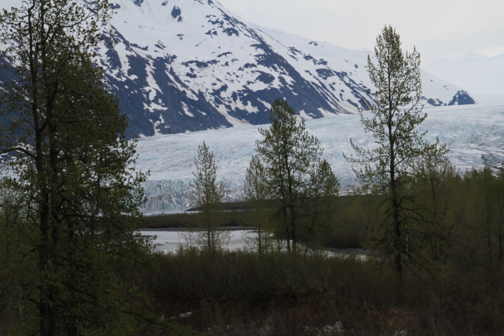 The impressive Spencer Glacier along the Alaska Railroad