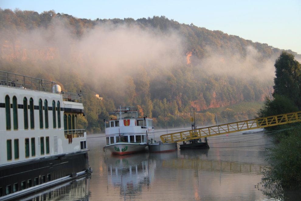 Fog on the Mosel River