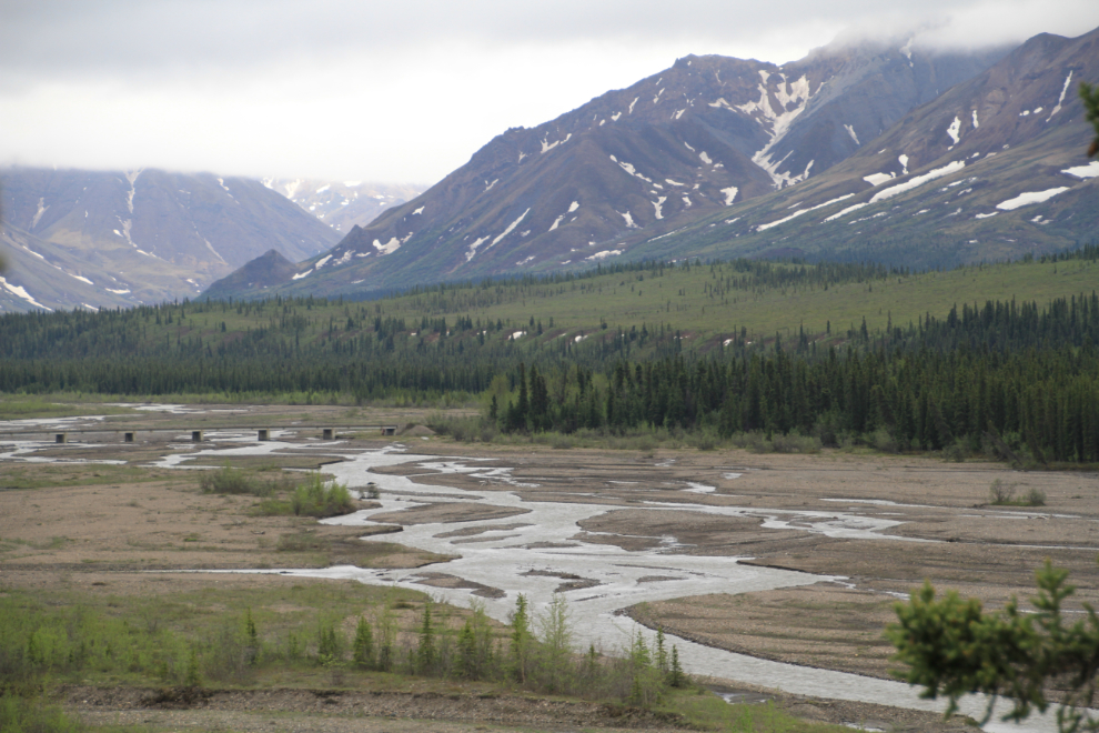 Teklanika River - Denali National Park, Alaska
