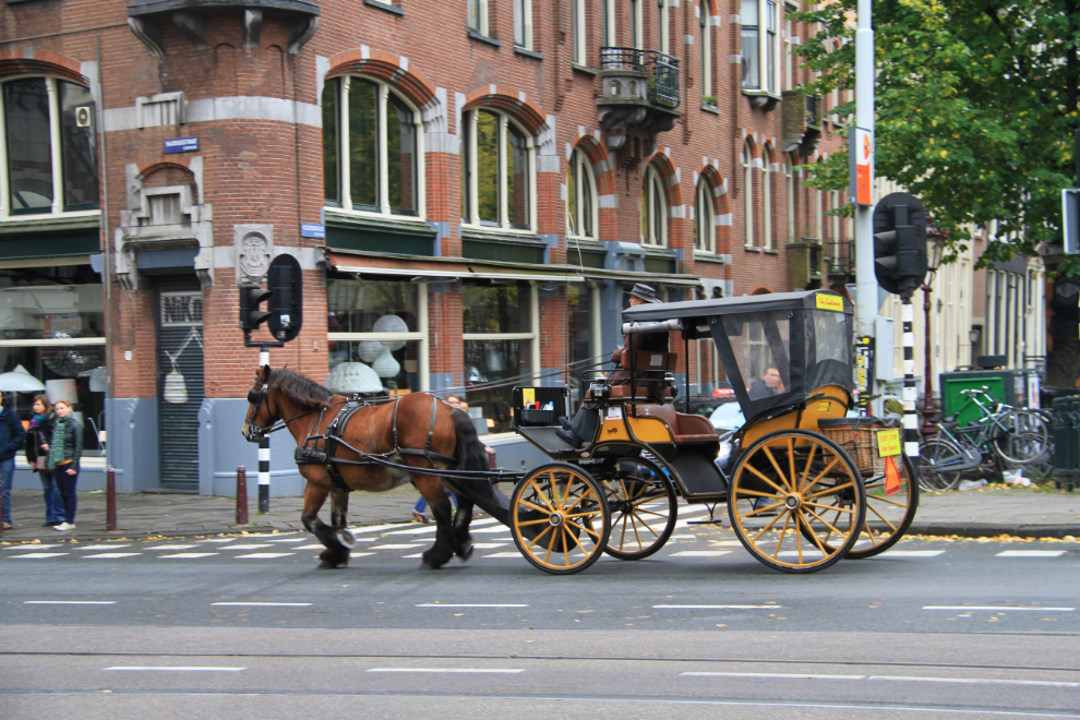 Horse-drawn carriage ride in Amsterdam