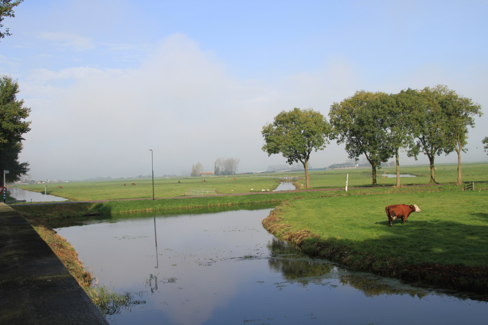 Farms at Edam, the Netherlands