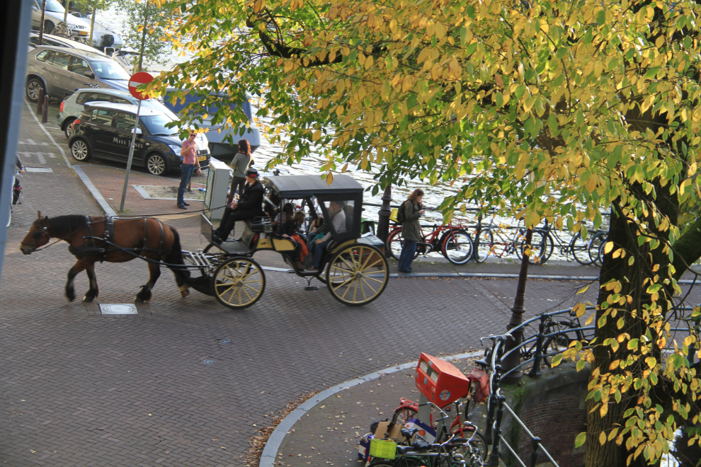 Horse-drawn carriage in Amsterdam