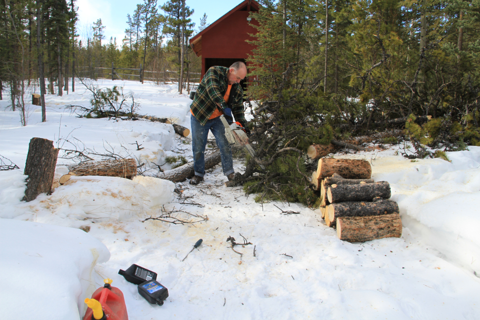 Bucking up trees I cut down on my Yukon property