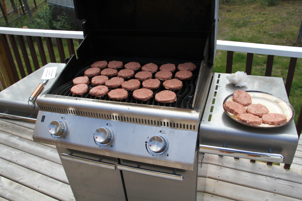 Barbecuing dog meals