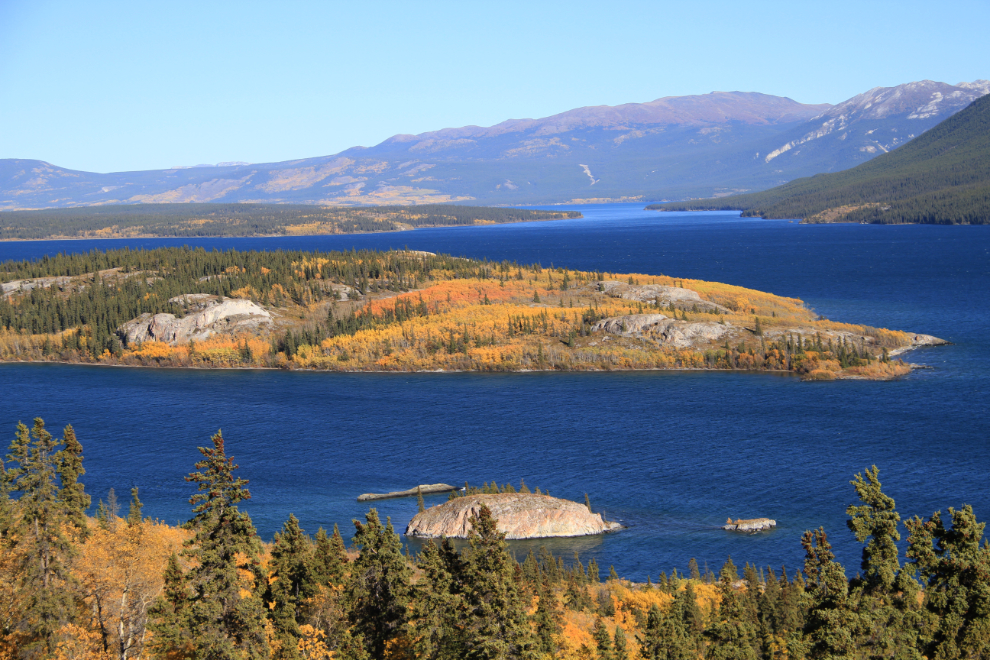 Fall colors on Bove Island, Yukon