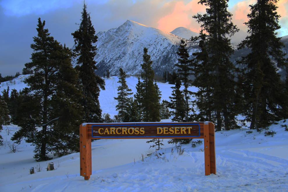 The Carcross Desert - Carcross, Yukon