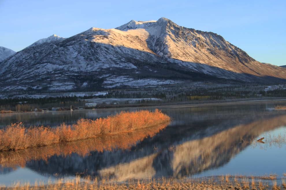 Looking across Grayling Bay to Caribou Mountain - Carcross, Yukon