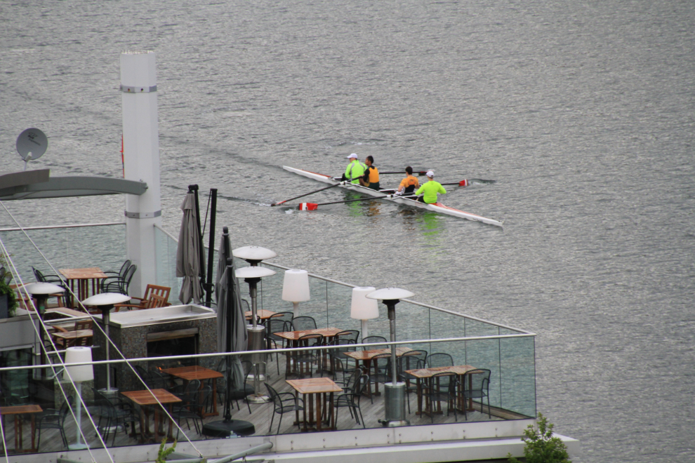 Rowers in Coal Harbour, Vancouver