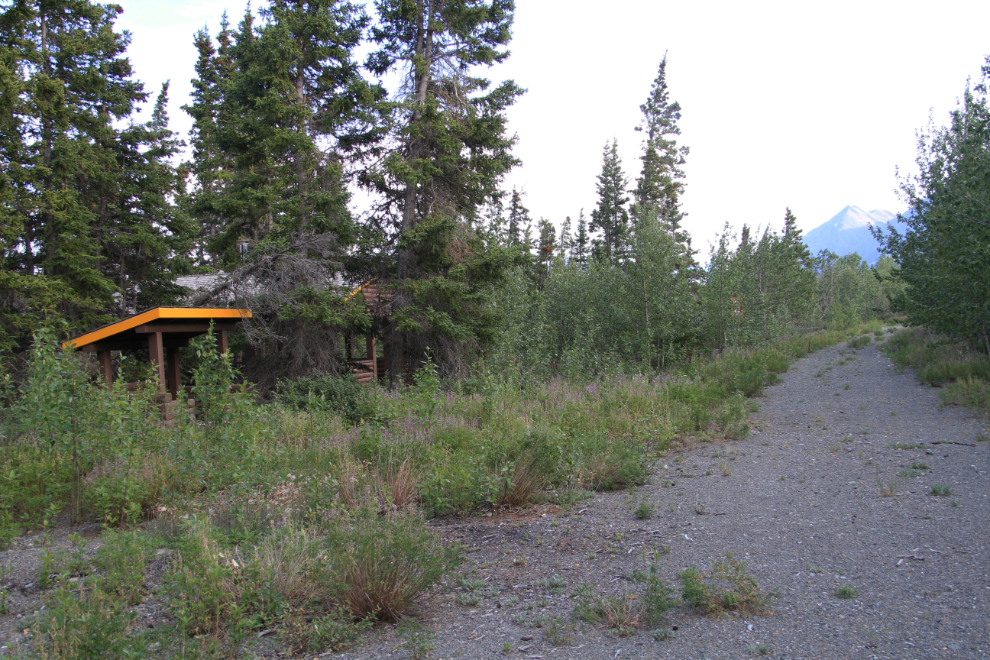 Abandoned part of the Congdon Creek Campground, Yukon