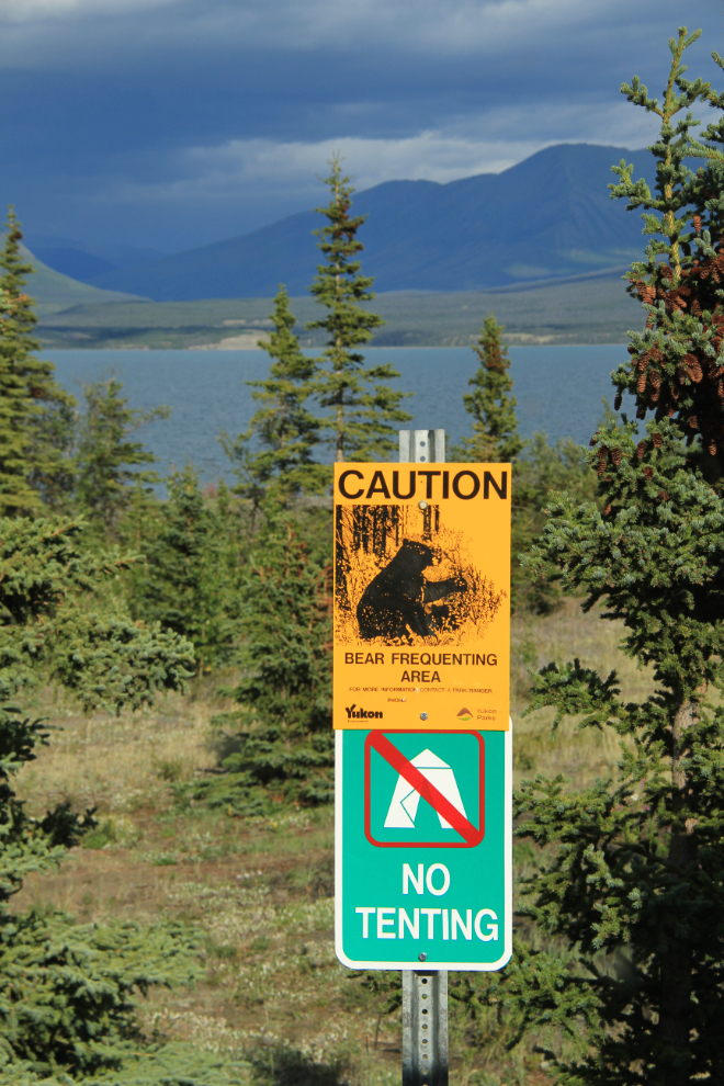 Bear activity sign at Congdon Creek Campground, Yukon