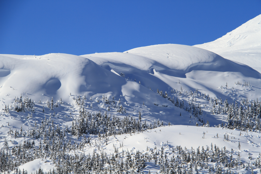 Snow cornices near Fraser, BC