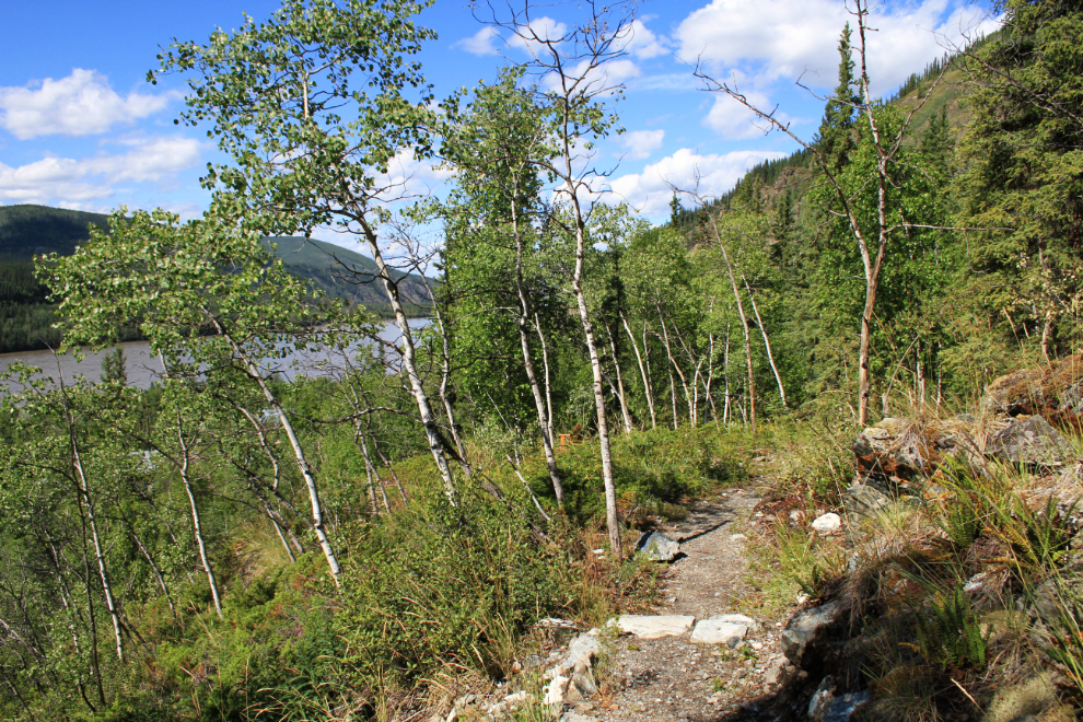 Ninth Avenue Trail - Dawson City, Yukon