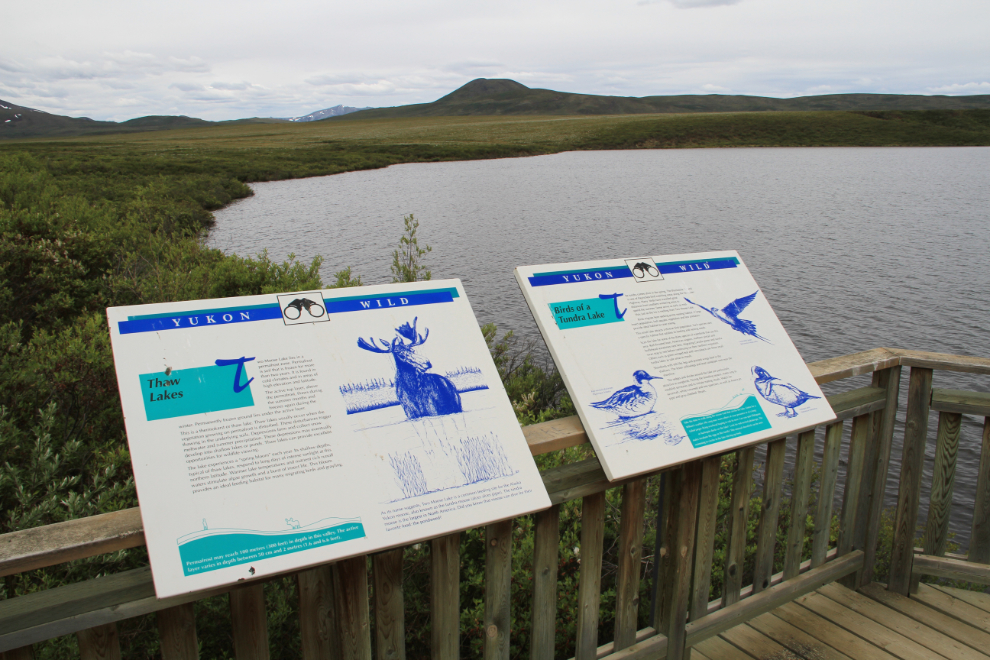 Interpretive signs at Two Moose Lake - Dempster Highway, Yukon