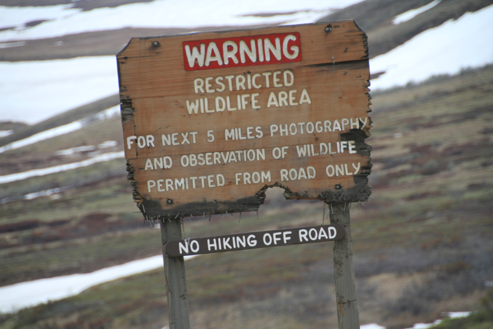 Sign at Sable Pass - Denali National Park, Alaska