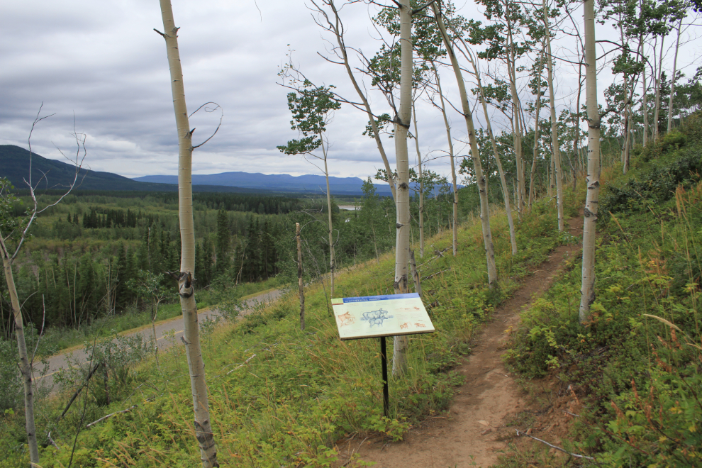 Devil's Elbow Trail, Yukon