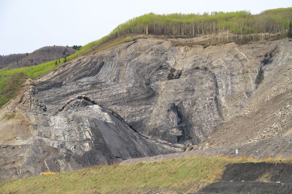 Coal seams along Alberta Highway 40