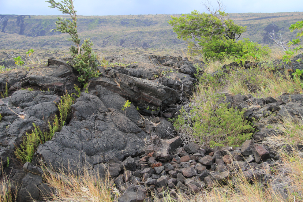 A pit for growing 'uala in Hawaii