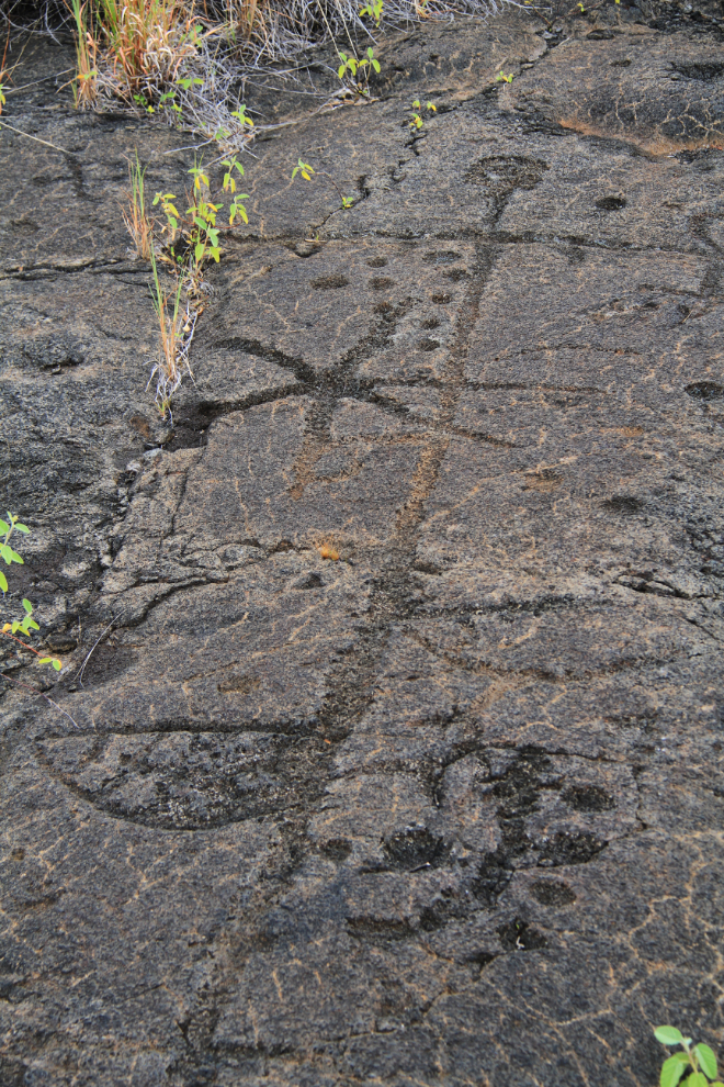 Petroglyphs at Pu'uloa, Hawai'i