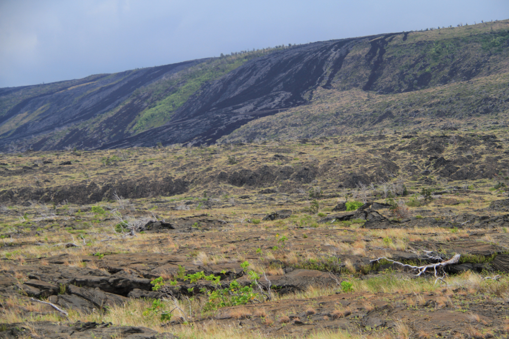 Lava flow along Chain of Craters Road in Hawai'i