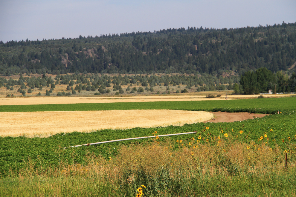Agriculture near Ashton, Idaho.