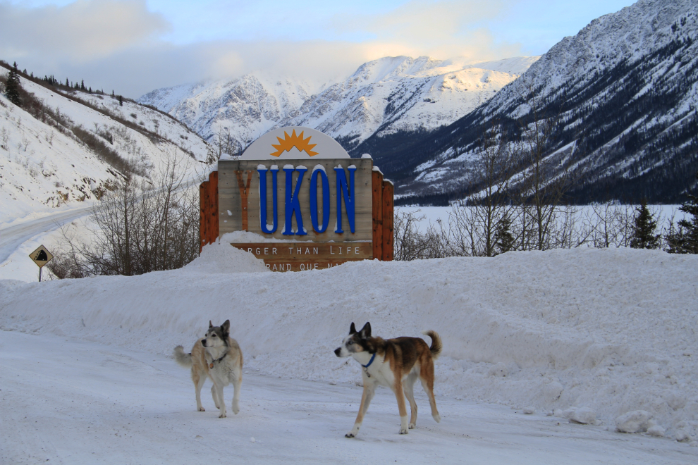My dogs at the Welcome to the Yukon sign