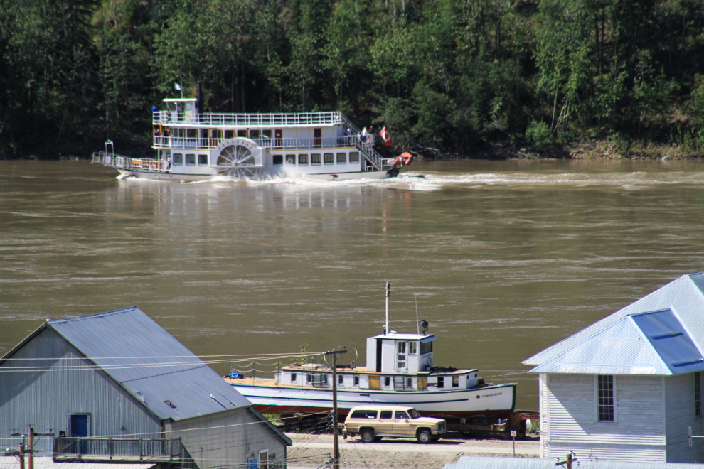 Klondike Spirit and Yukon Rose