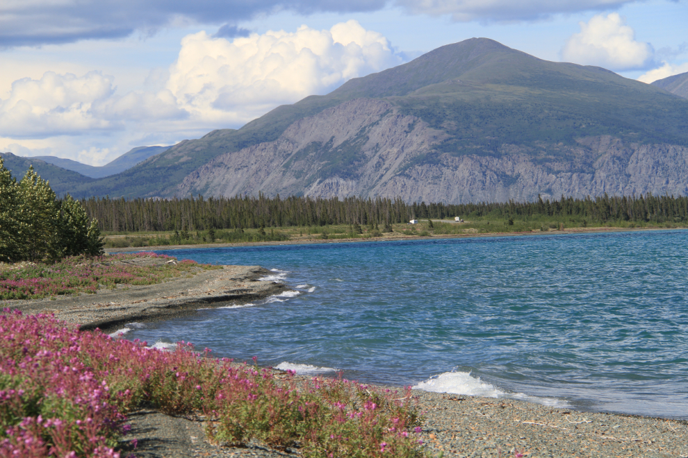 Beach of Kluane Lake, Yukon