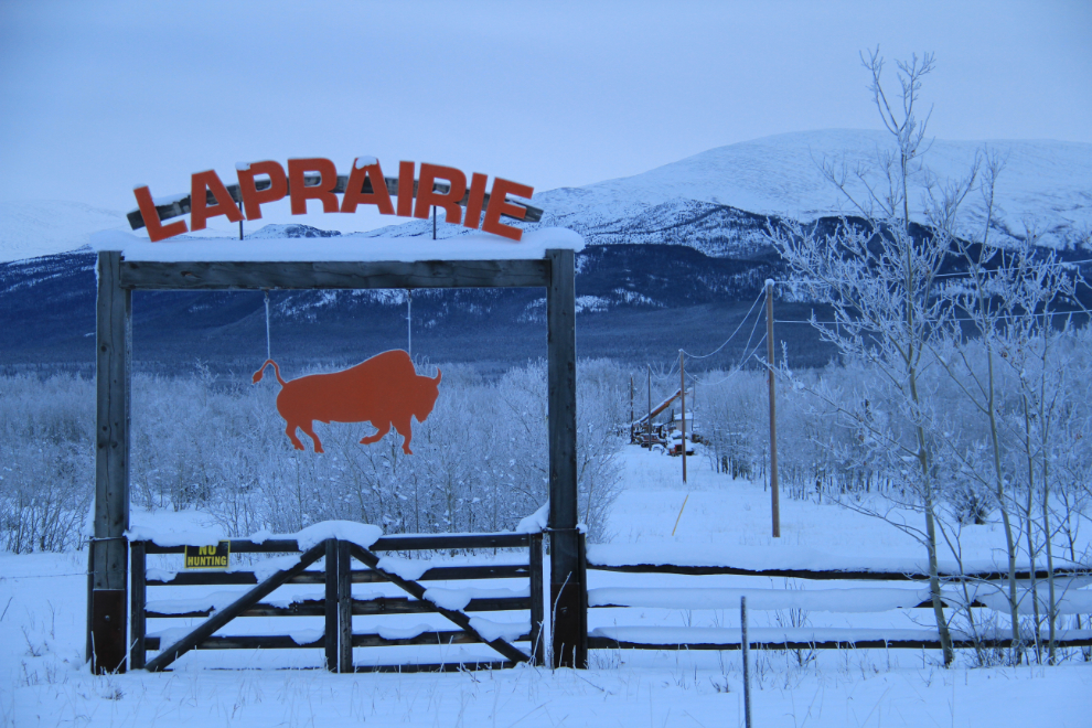 LaPrairie Bison Ranch, Yukon