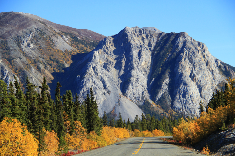 Fall colors at Lime Mountain, Yukon