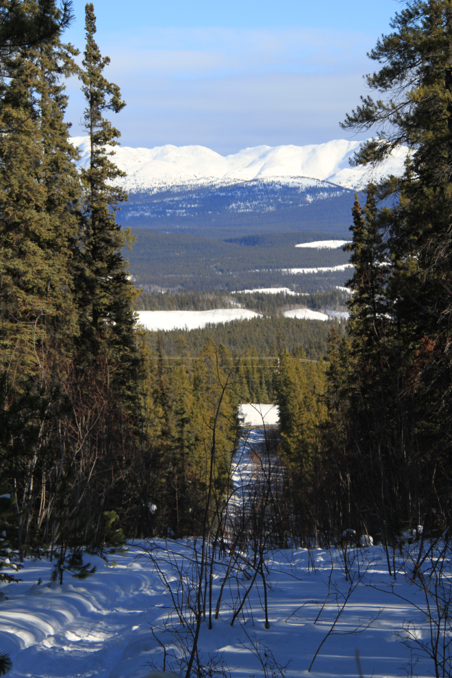 Walking trail at Mary Lake in Whitehorse