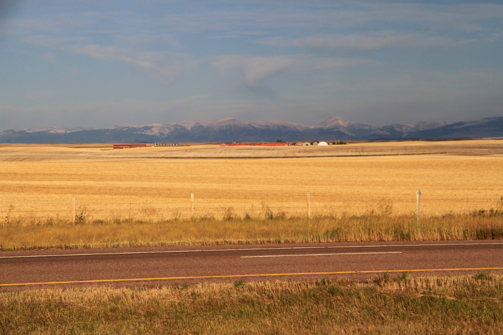 Montana - sunshine on vast wheat fields, and the Rockies in the distance