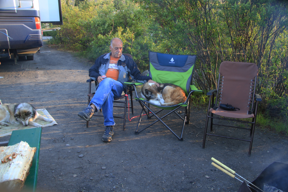 Husky Monty asleep in a camp chair