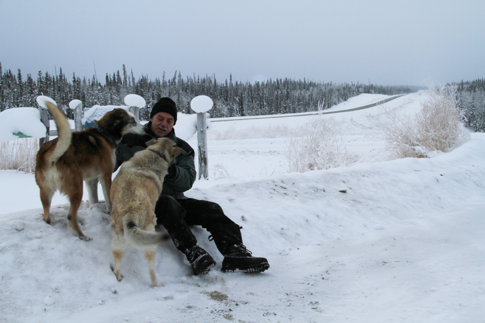 Playing with huskies along the Alaska Highway