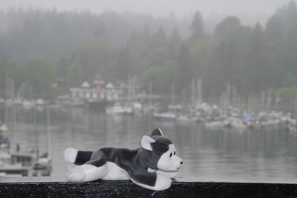 Nanook at Coal Harbour, Vancouver