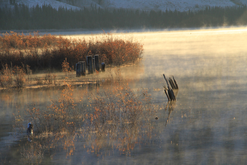 Pilings at Nares Lake, Yukon