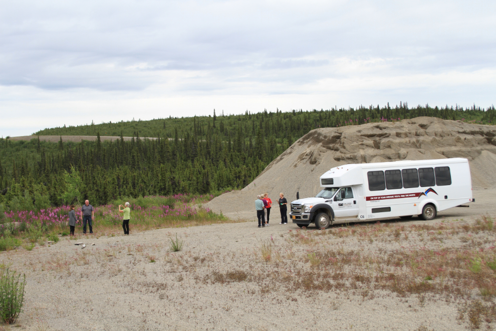 My tour bus, stopped for photos of fireweed