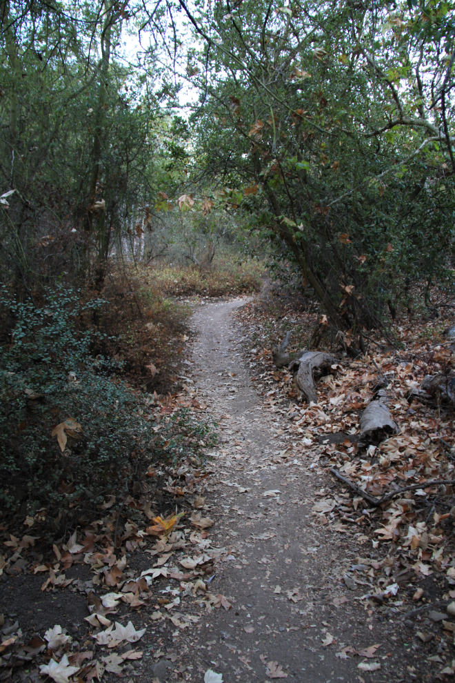 San Antonio Creek Trail - Santa Barbara, California