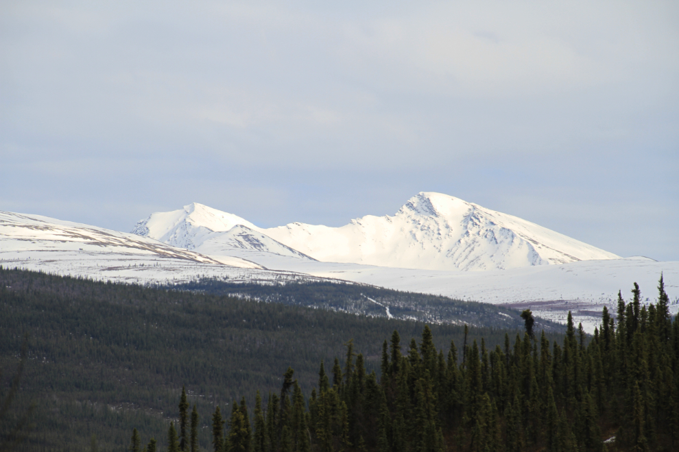 Peaks near Keno City, Yukon