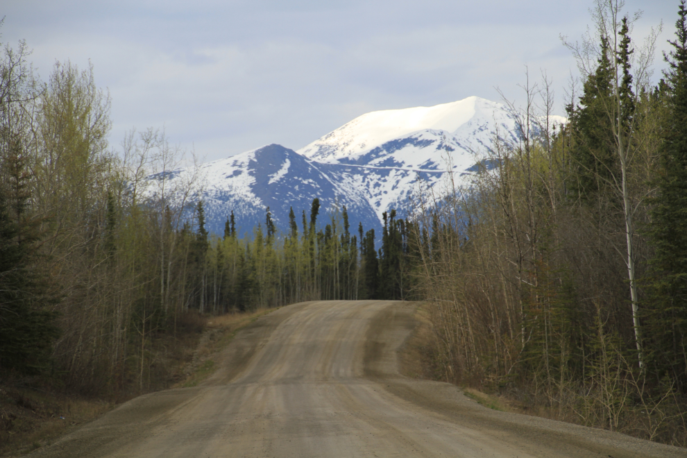 Mount Haldane from Km 66 of the Yukon's Silver Trail