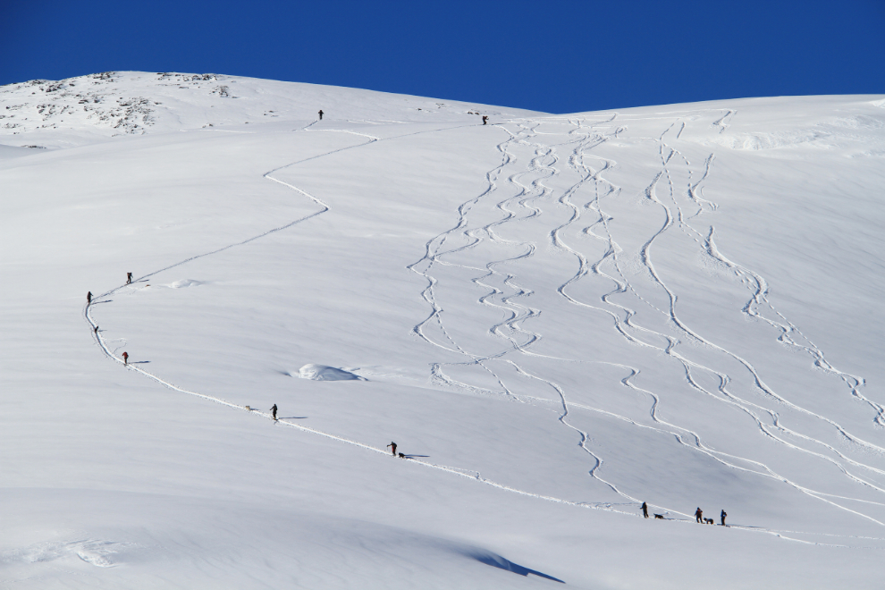 Skiers in the White Pass, BC